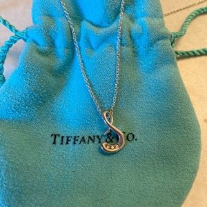 Tiffany’s S Diamond Necklace